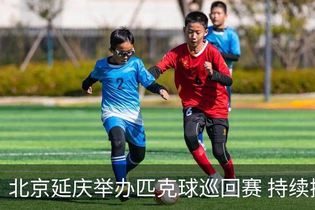 北京延庆举办匹克球巡回赛 持续擦亮户外运动城市名片